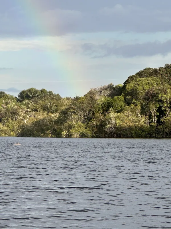 Amazônia